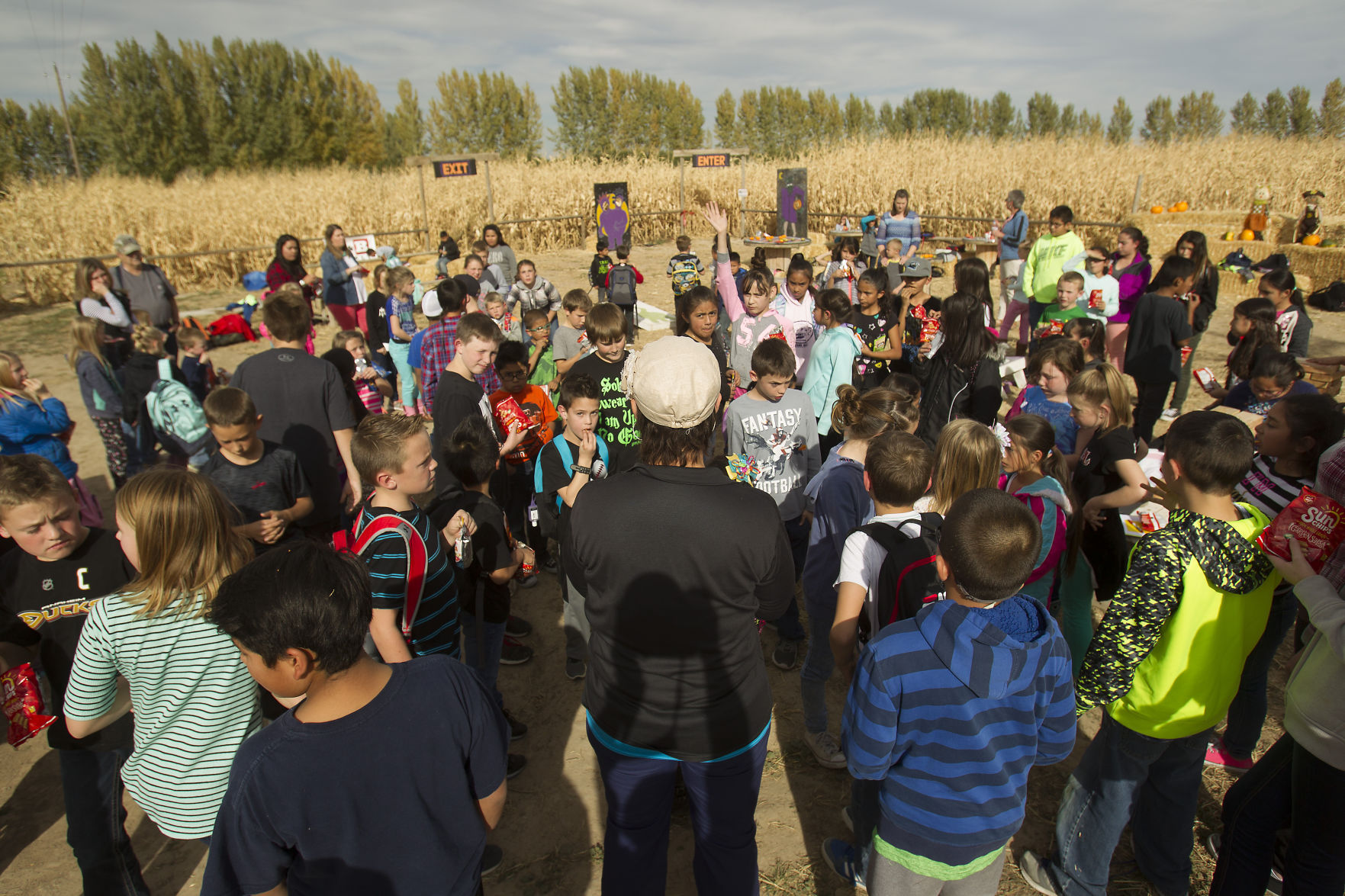 Magic Valley Corn Maze